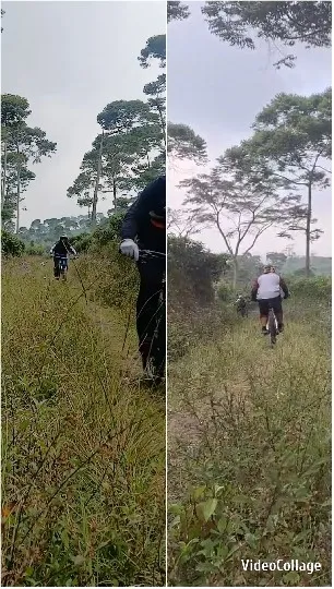 Bicycling Through Natural Paths