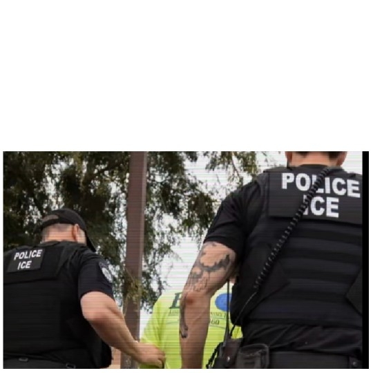 Police Officers Detaining Individual Outdoors