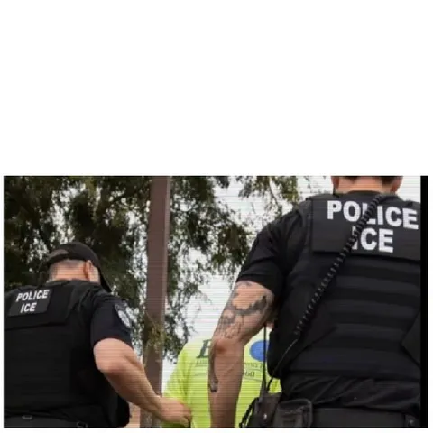 Police Officers Detaining Individual Outdoors