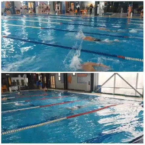 Indoor Swimming Pool with Swimmers