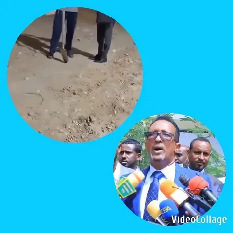Focusing on Legs in Mud