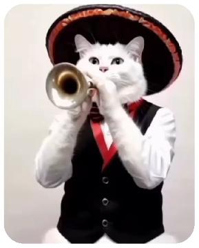 Cat Playing Trumpet in Costume