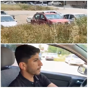 Cars in a Parking Lot