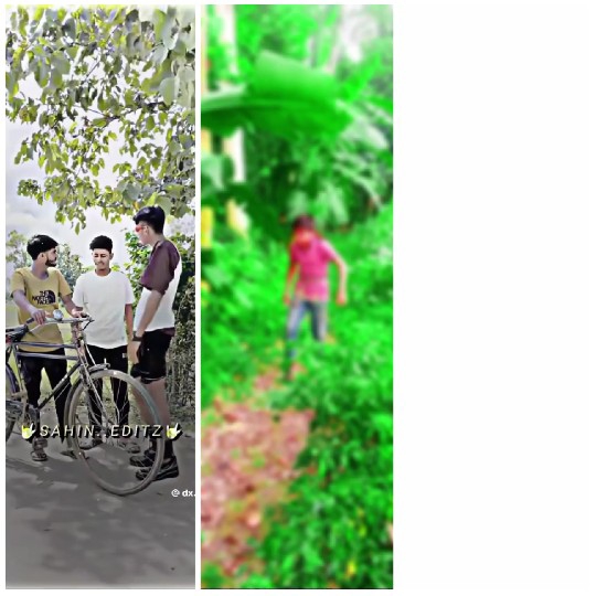 People with Bicycle Under Tree