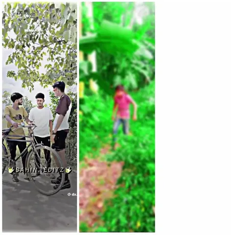 People with Bicycle Under Tree