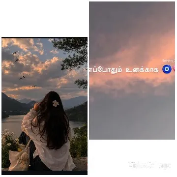 Person Gazing at Scenic Sunset View