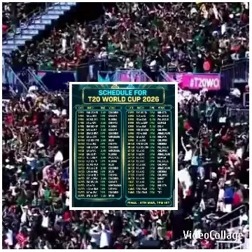 Crowd at T20 World Cup Stadium