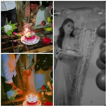 Celebration with Colorful Cake Moments