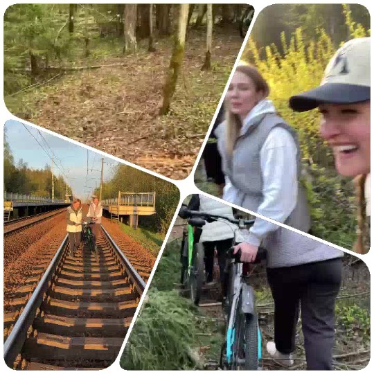 Forest Scene and People with Bicycles