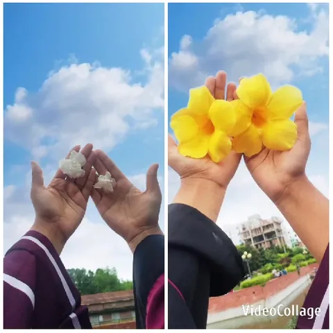 Hands Holding Fluffy Material Outdoors