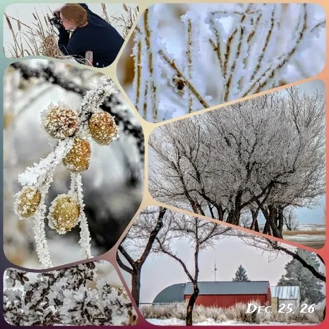 Winter Scenes and Photography