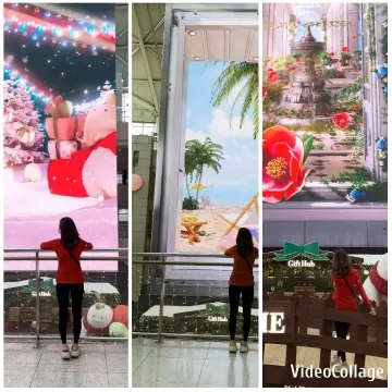 Festive Christmas, Beach, and Garden Scenes