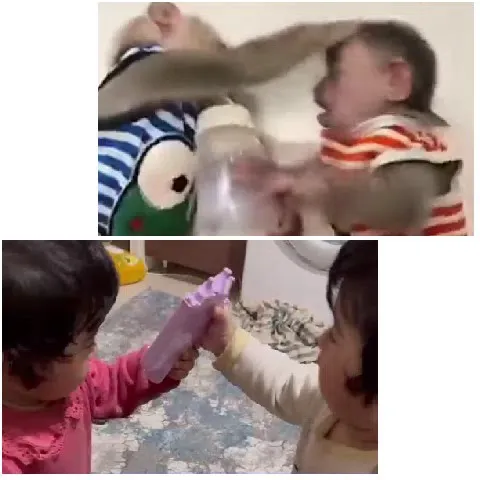 Playful Interactions Between Young Kids