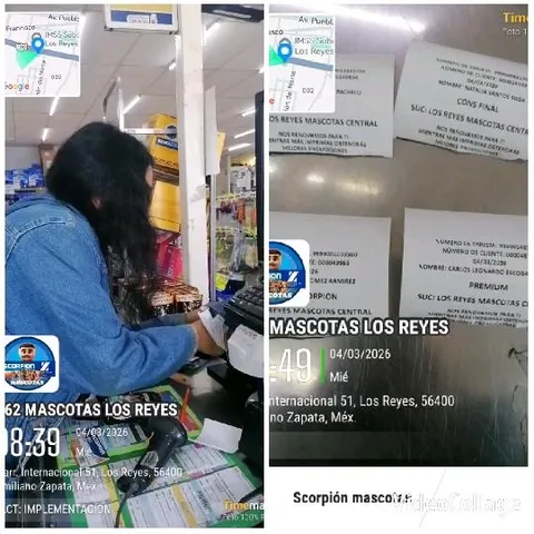 Person Interacting with Cash Register