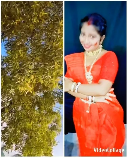 Tree and Person in Traditional Attire