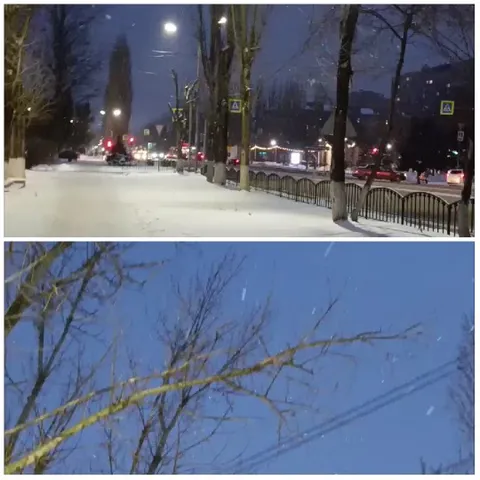 Snowy Street and Tree Branches