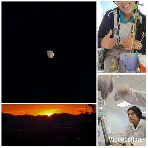 Moonlit Night and Scenic Sunset