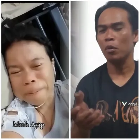 Emotional Reactions and Gestures