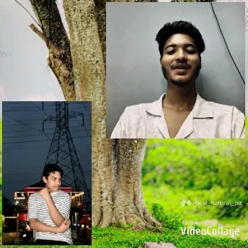 Person in Striped Shirt by Trees