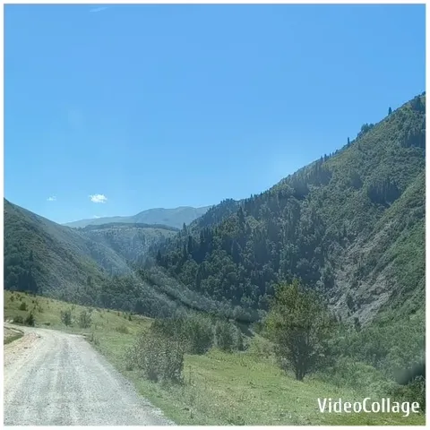 Dirt Road Through Green Valley