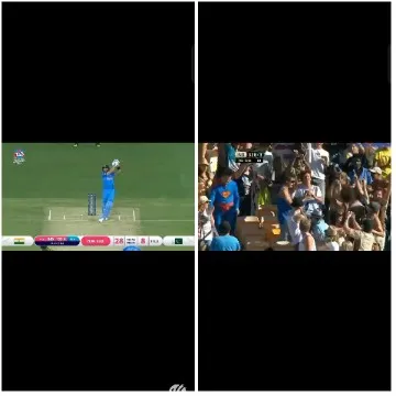 Cricket Match and Cheering Crowd