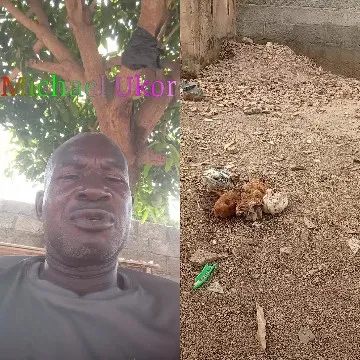 Man Under Tree and Dirt Pile