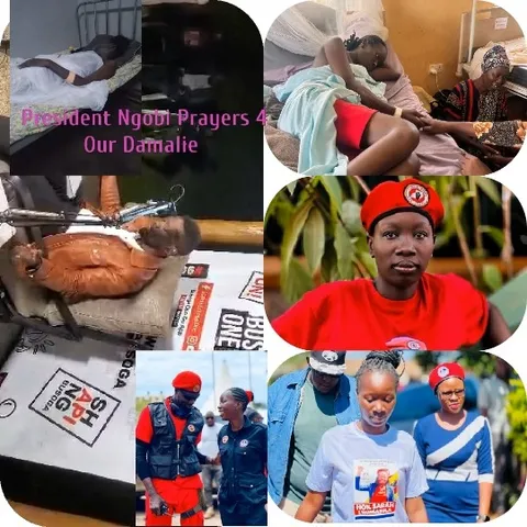 Scenes of Medical Care and Support