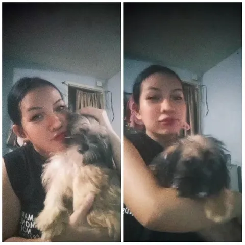 Person and Fluffy Dog
