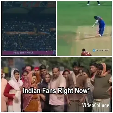 Stadium Scene with Cricket Match