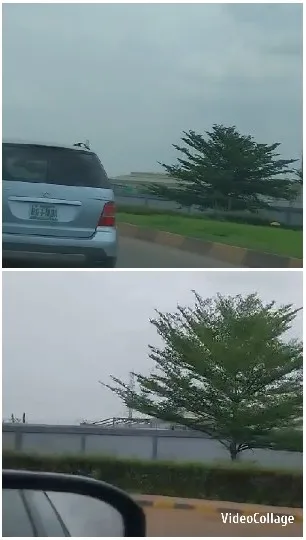 Blue SUV on Tree-Lined Road