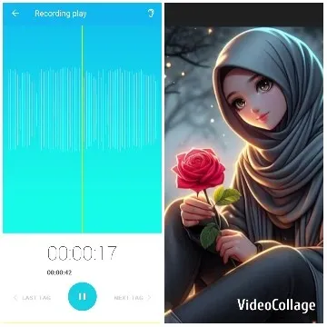 Digital Voice Recording with Illustration
