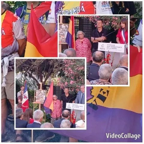 Public Gathering with Flags and Speaker