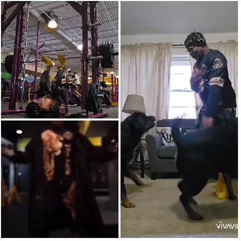 Weight Lifting and Dancing with Dog
