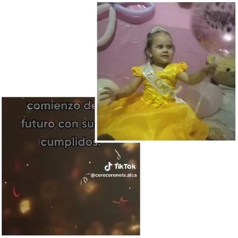 Child in Princess Dress at Party
