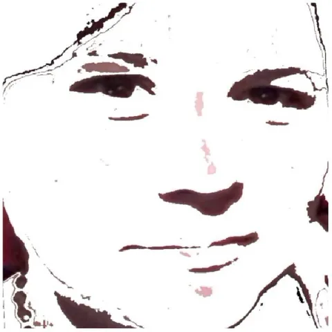 Stylized Human Face Representation