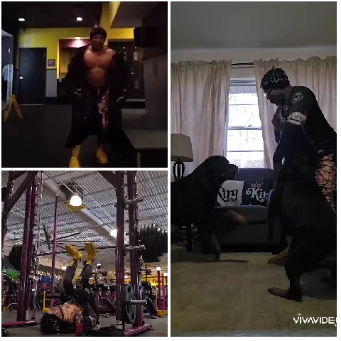 Gym Workout and Dog Interaction