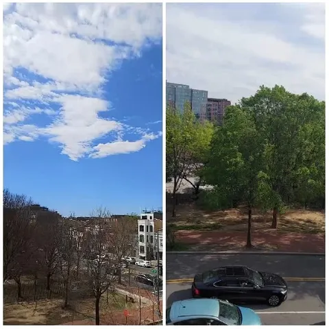 Cityscape and Park on Clear Day