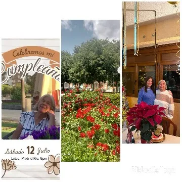 Birthday Celebration in a Park