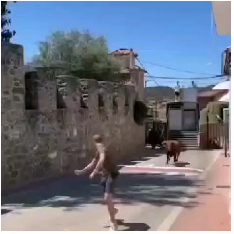 Village Street with Animal Encounter