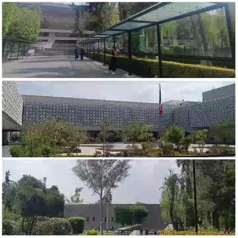 Modern Architecture Surrounded by Greenery