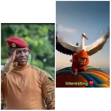 Soldier Saluting and Digital Bird
