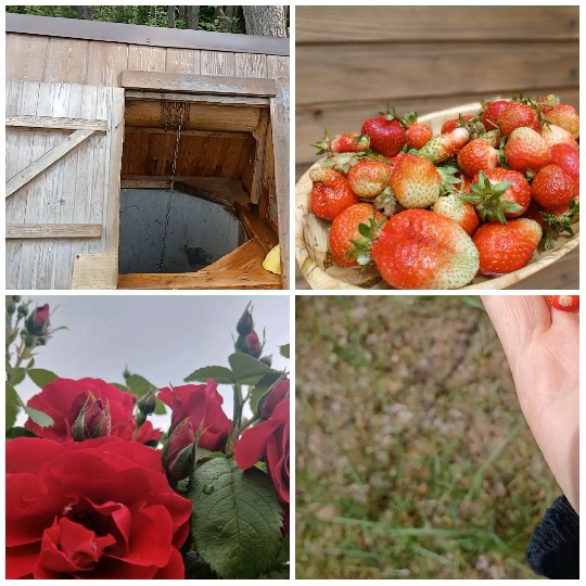 Wooden Well and Strawberry Basket
