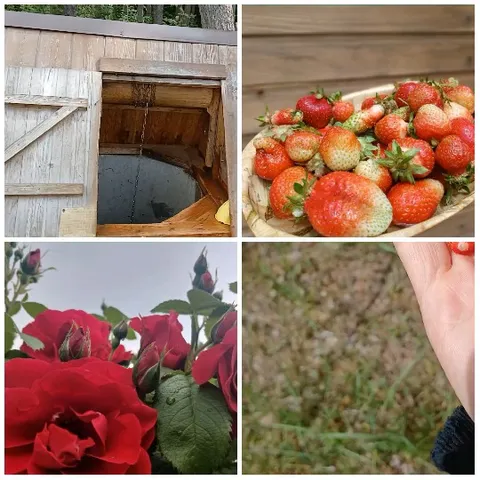 Wooden Well and Strawberry Basket