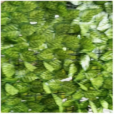 Dense Green Leaf Wall