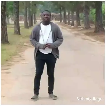 Walking on Tree-Lined Path