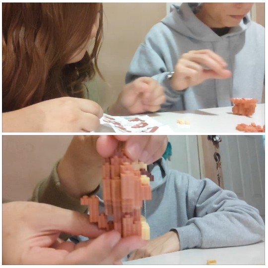 Assembling a Small Model Together