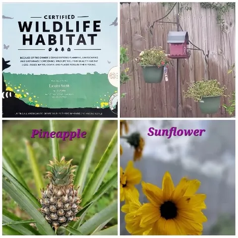 Wildlife Habitat and Plant Close-ups