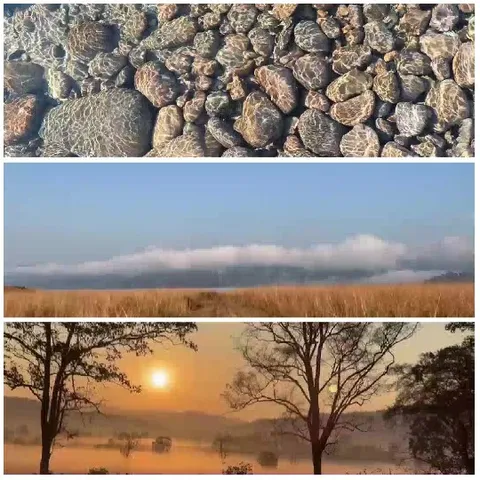 Rocks, Fields, and Silhouetted Trees