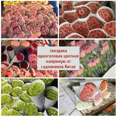Flower Bunches in Colorful Display