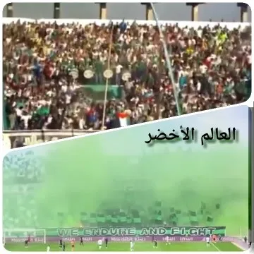 Crowded Stadium and Green Smoke